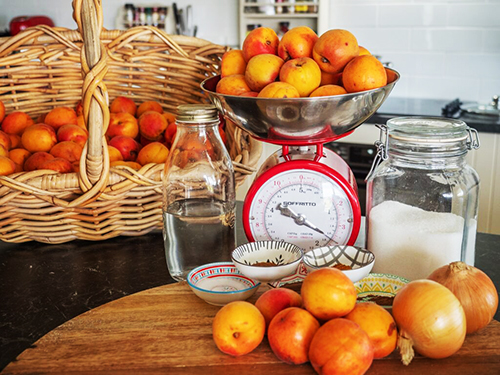 In-season Apricots