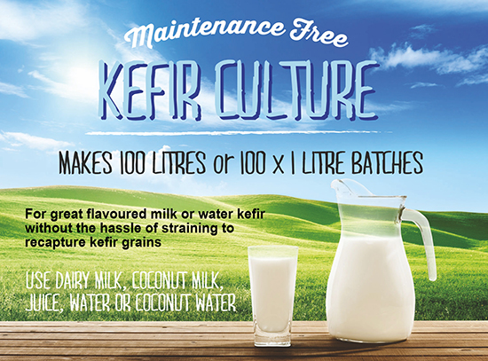 Maintenance Free Kefir Culture