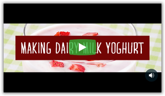 See how to make dairy yoghurt.