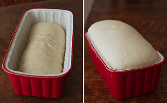 Sourdough Bread Sourdough Bread
