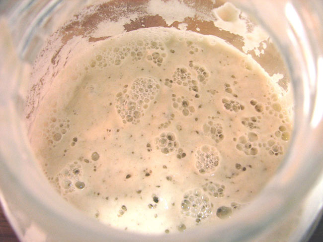 Sourdough Bread Sourdough Bread