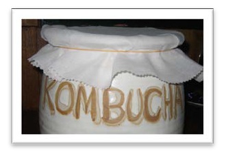 Kombucha Tea