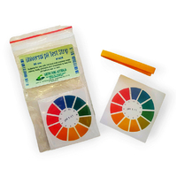 Universal Indicator pH Test Strip - pH 1-11