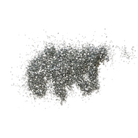 Silver - Glitter - 20 Gram