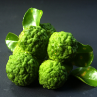 Bergamot Calabrian Essential Oil