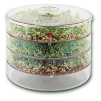 Original Seed Sprouter - Keimgerat