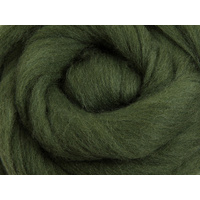 Merino Sliver / Fibre - Fern Green - 100 grams