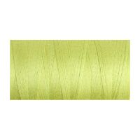 Unmercerised Cotton 5/2 Green Glow - 200gm cone