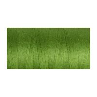Unmercerised Cotton 10/2 Cedar Green - 200gm cone