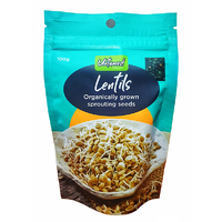 Lentil Sprouts Seeds